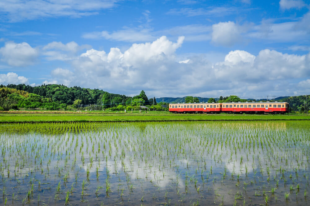 小湊鉄道線、上総鶴舞駅〜上総久保駅間を走る普通列車（キハ200形気動車）